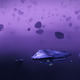 Image: Aurum_32